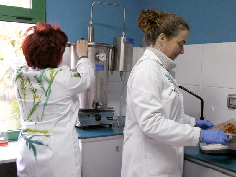 Chusa e Carmela, no laboratorio de Milhulloa, onde investigan e preparan algúns dos seus produtos