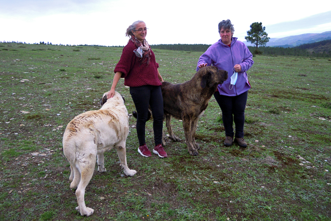 María e Belén con Angus e Tina, os dous mastíns da explotación