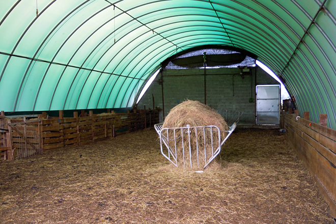 A nave serve de abrigo para o gando e para suplementar con herba seca o pasto