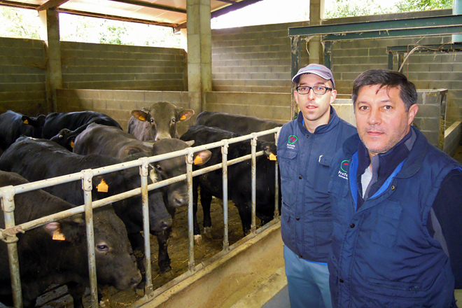 Iván e Moncho, xunto a un dos lotes de becerros que ceban nas súas instalacións