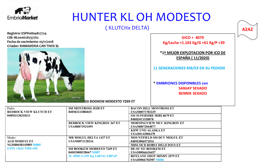 EMBRIOMARKET A2A2 PROMO EMBRIONS 1