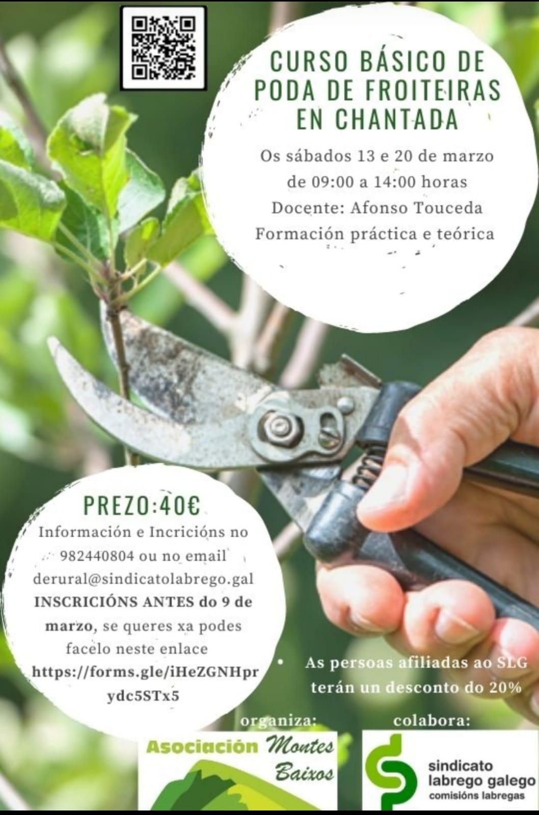 HORTA SLG CHANTADA