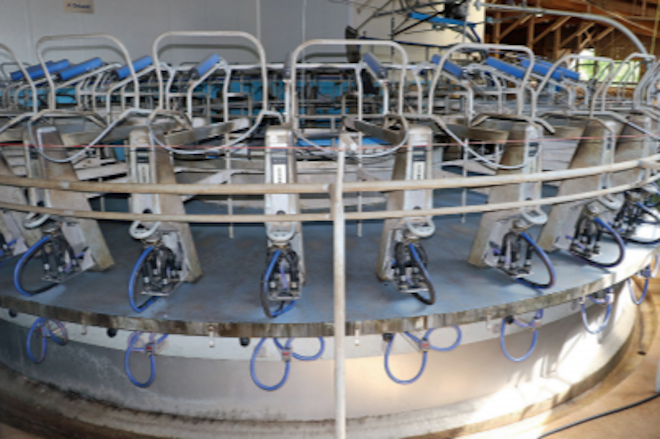 A sala de muxido rotativa instalada no 2012 substituiu a unha sala de muxido de 2x5 puntos. Cada socio mungue só e lévalle unha hora e media, lavado incluído.