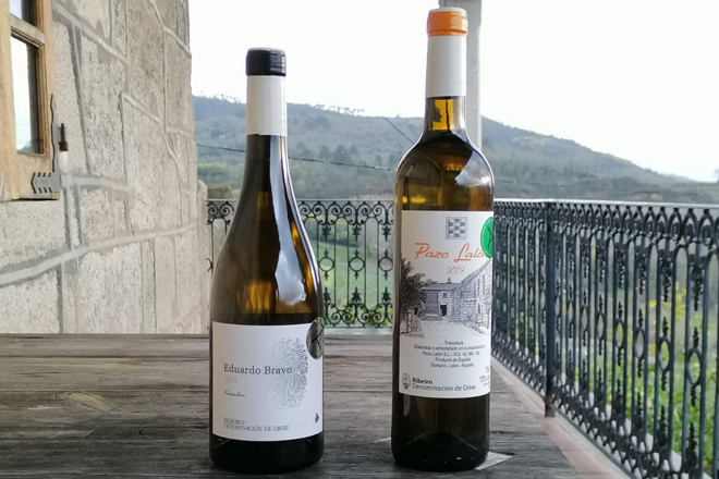 Vino-Pazo-Lalon-e-Eduardo-Bravo