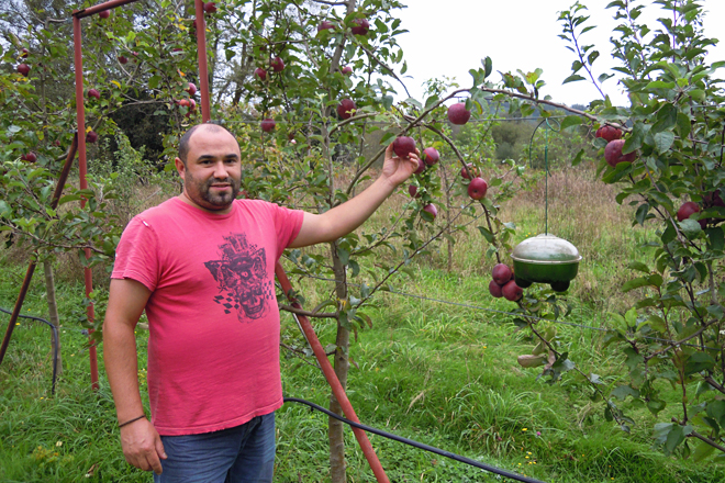 APICULTURA PAINZAS (Valadouro) mazá velutinas
