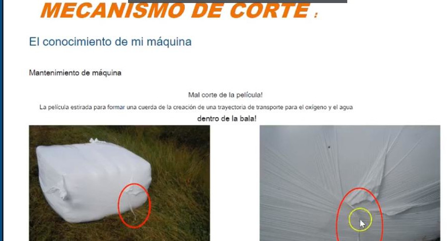 DELAGRO PACAS PLASTICO CANEDA 9