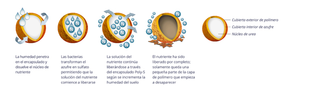 Claves de la tecnología Ply-S.
