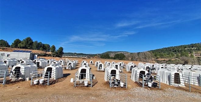 centro recria Cowvet (Valencia)2