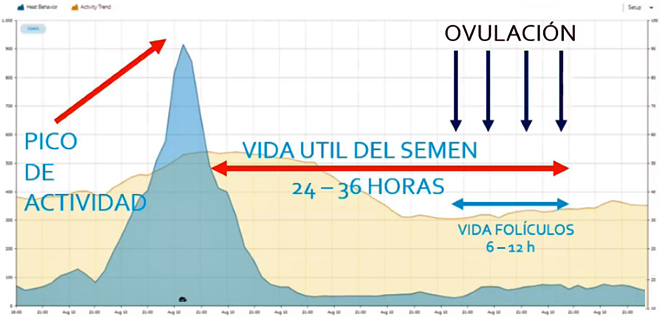 grafico inseminacion