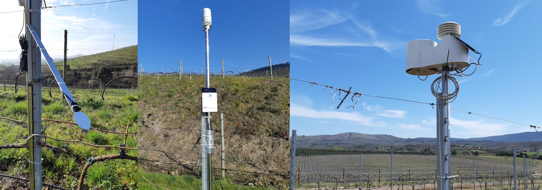 Fotos de estacións agroclimáticas de Agrigenio Vite que se están colocando en leiras de adegas en diferentes denominacións de orixe de Galicia