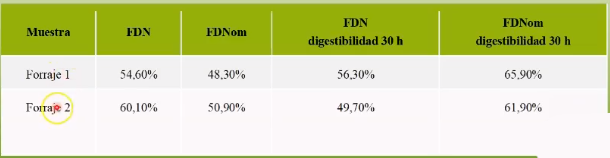 Autor: Ángel Ávila Coya