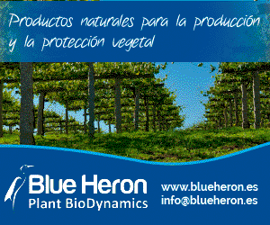 Banner_CampoGalego_300x250_BLUE HERON VIÑA