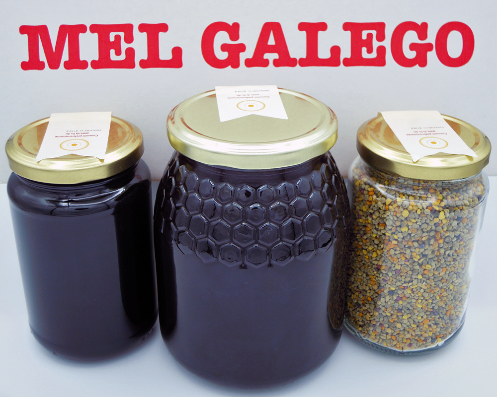 DAVID VEIGA (Sarria) mel AGA IXP Mel de Galicia