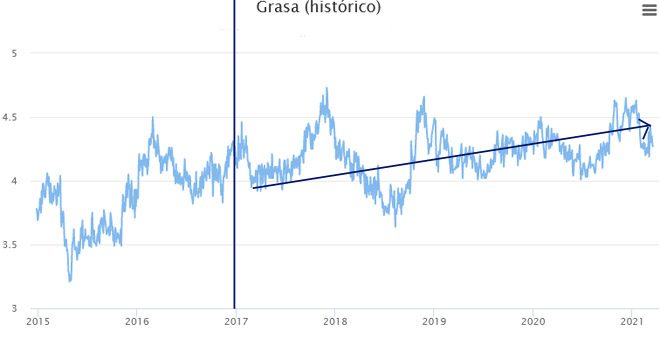 Grasa historico medidas