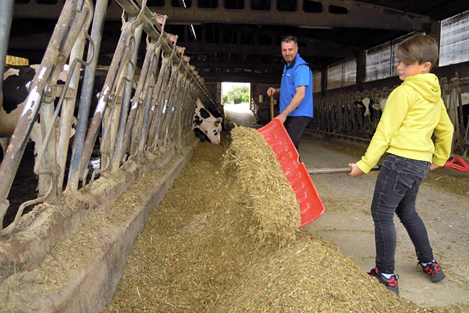 José Manuel xunto ao seu fillo Sergio arrimando a comida ás vacas