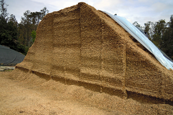 Buscan altas dixestibilidades no silo de millo e proteína no de herba