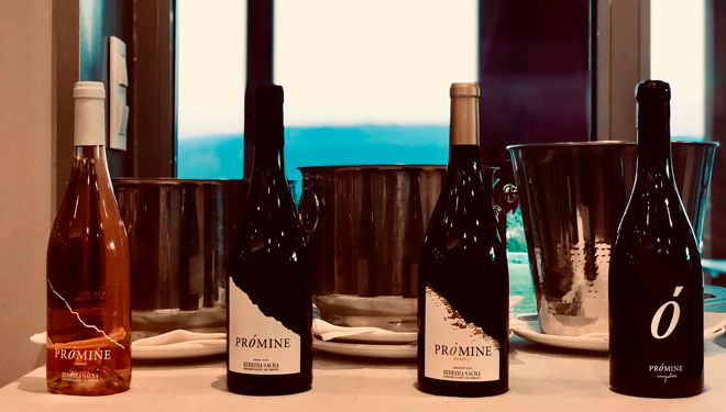 Promine_Mellor-tinto-2020_Adega-Petron_
