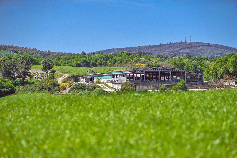 SAT Seixas ten un déficit importante de superficie agraria