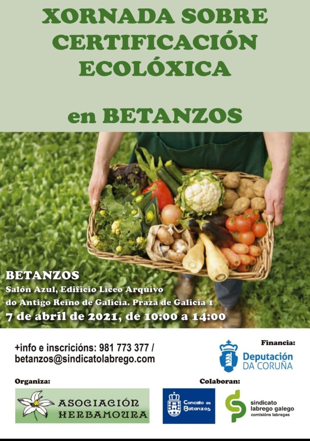 SLG curso certificacion eco betanzos