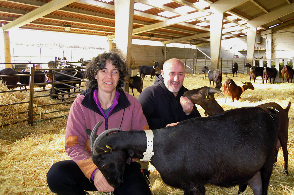 Rocío e Jorge coas súas cabras de raza granadina