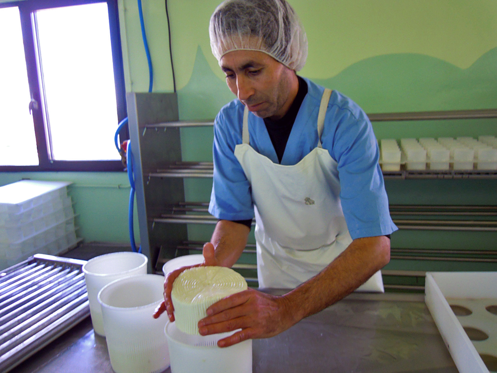 Driss, volteando os queixos de pasta branda