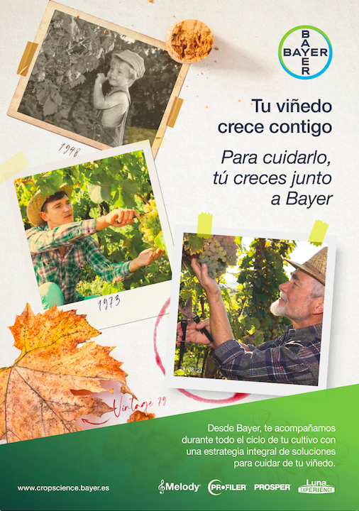 anuncio castellano DEKALB VIÑEDO