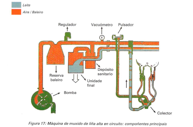 maquina-muxido-lina-alta-en-circuito_-partes-