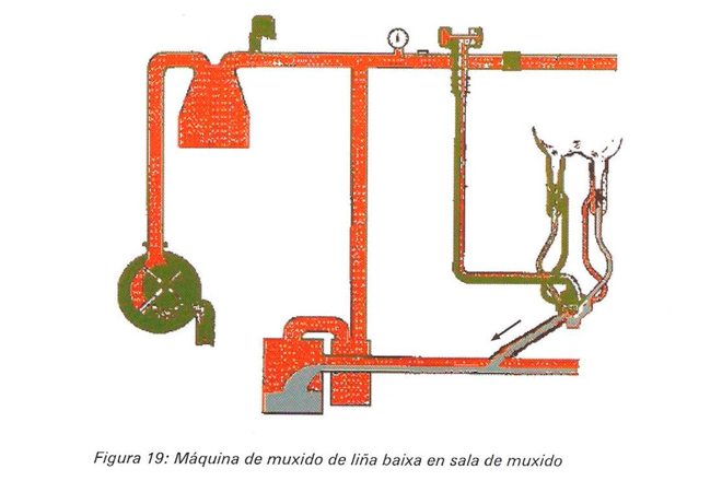 maquina-muxido-lina-baixa-en-sala-muxido-