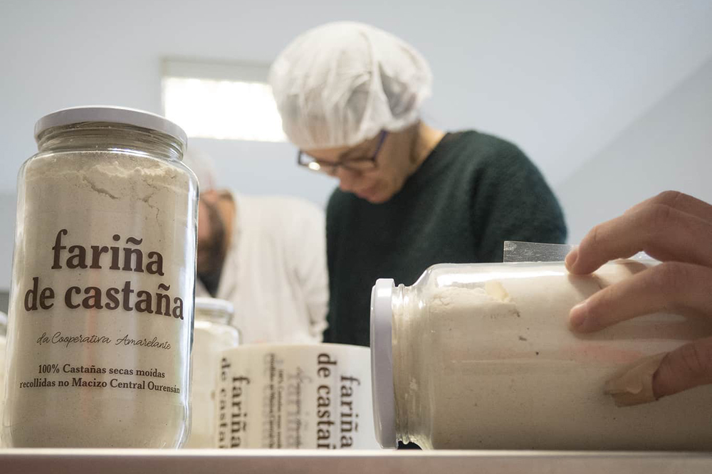 Labores de envasado e etiquetaxe da fariña de castaña