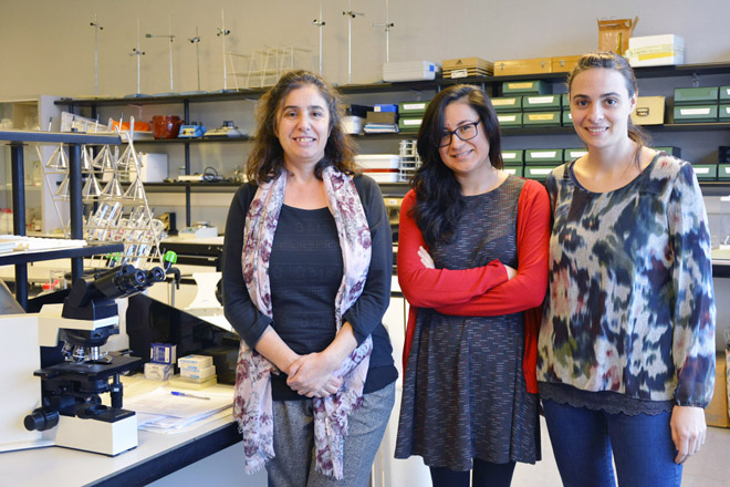 Carmen Seijo, xunto a María Shantal Rodríguez e Olga Escuredo, no laboratorio da Universidade de Vigo en Ourense