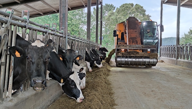 O servizo de carro de Cobideza vailles tódolos días para a ración das vacas en produción e cada dous días para as vacas secas.