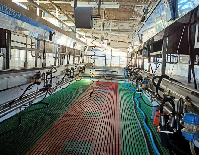 Sala de muxido da gandería, onde a persoa contratada tería que facer labores de apoio