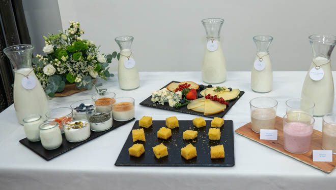 Degustación de productos lácteos.