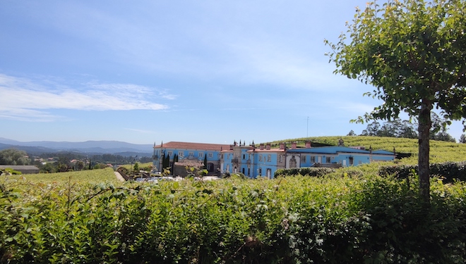 Vista de la bodega Granbazan _setos