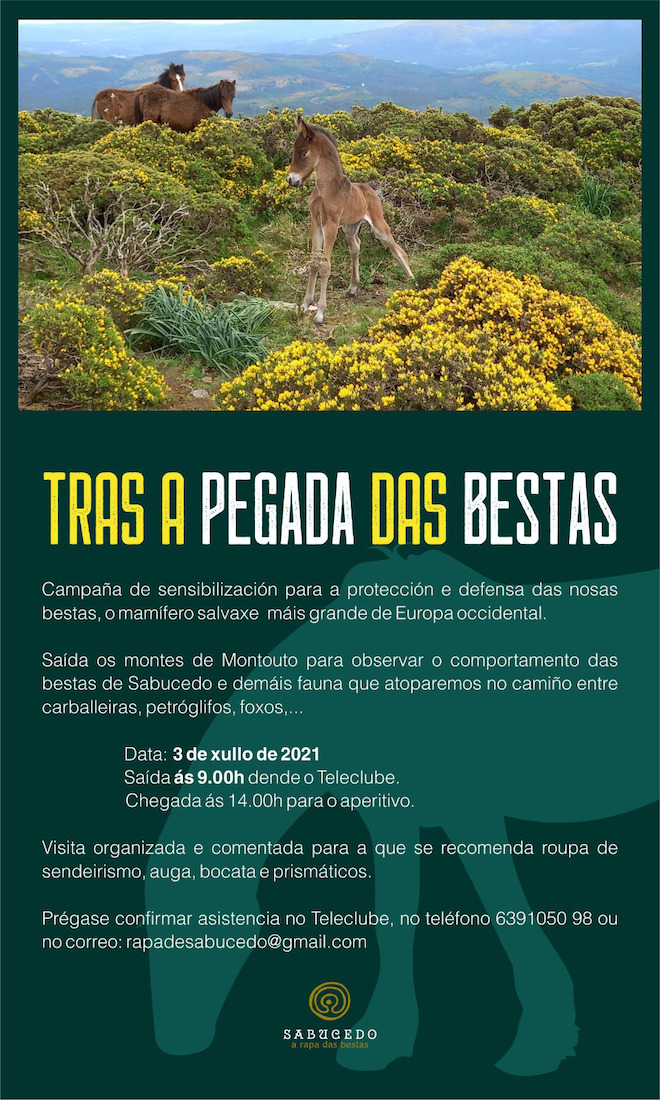 Xornada bestas Sabucedo