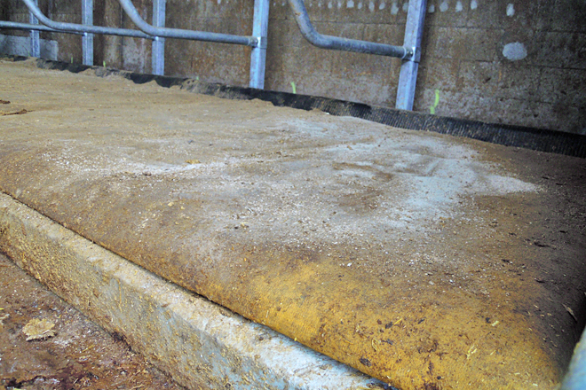 Cama de colchoneta na zona de vacas secas
