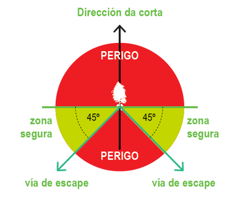 ISSGA CORTA ARVORES SENTADAS 1