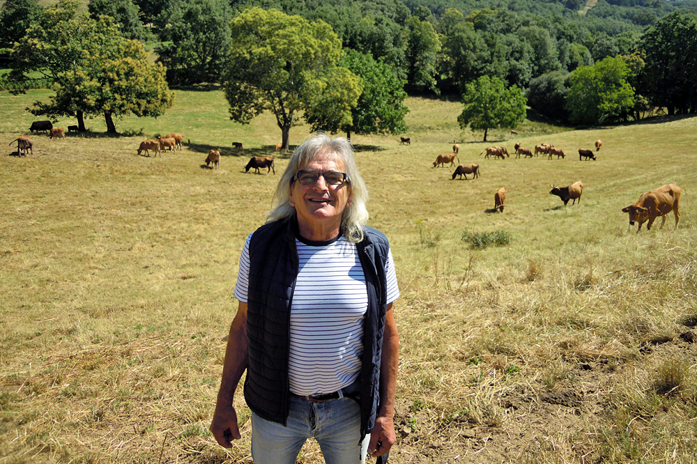 José Luis Vaz, coas súas vacas de raza vianesa en Riós