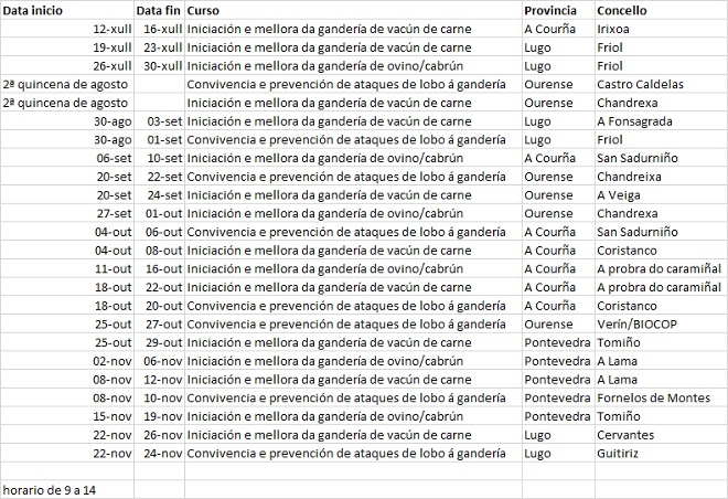 cursos Beealia 2021