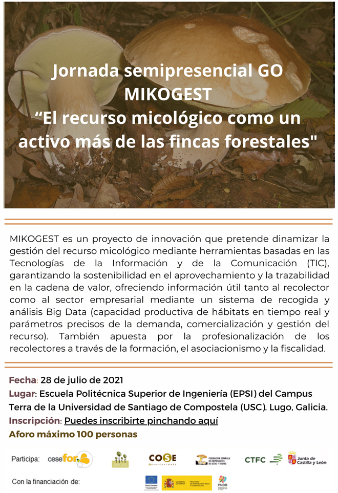 jornada mikogest