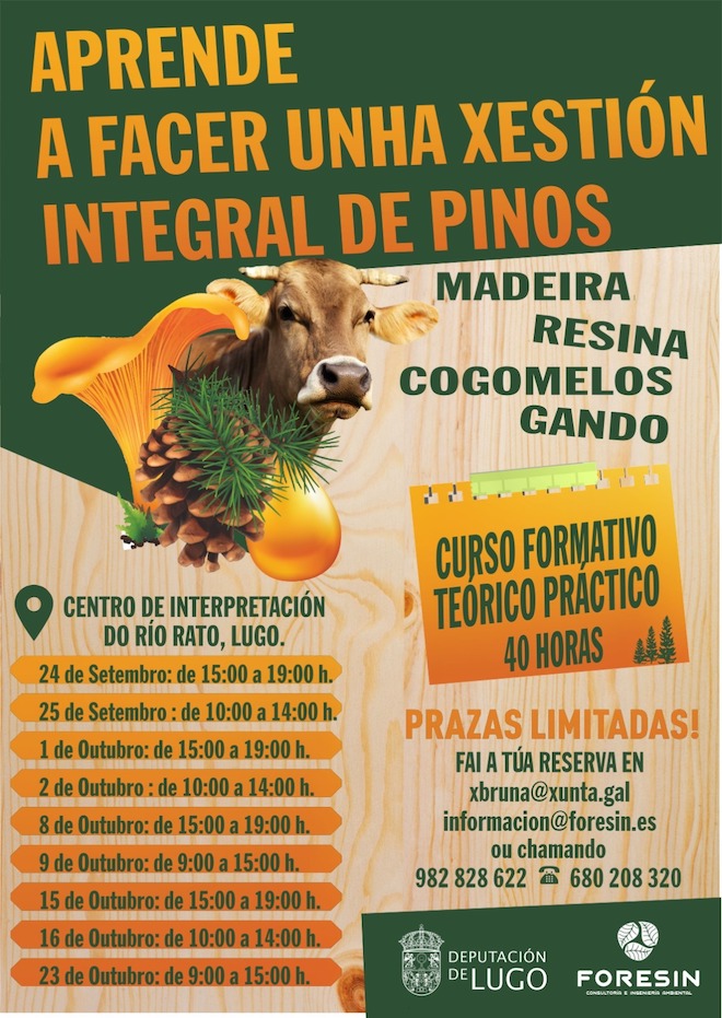 Cartel curso Lugo Xestión Integral Piñeiros