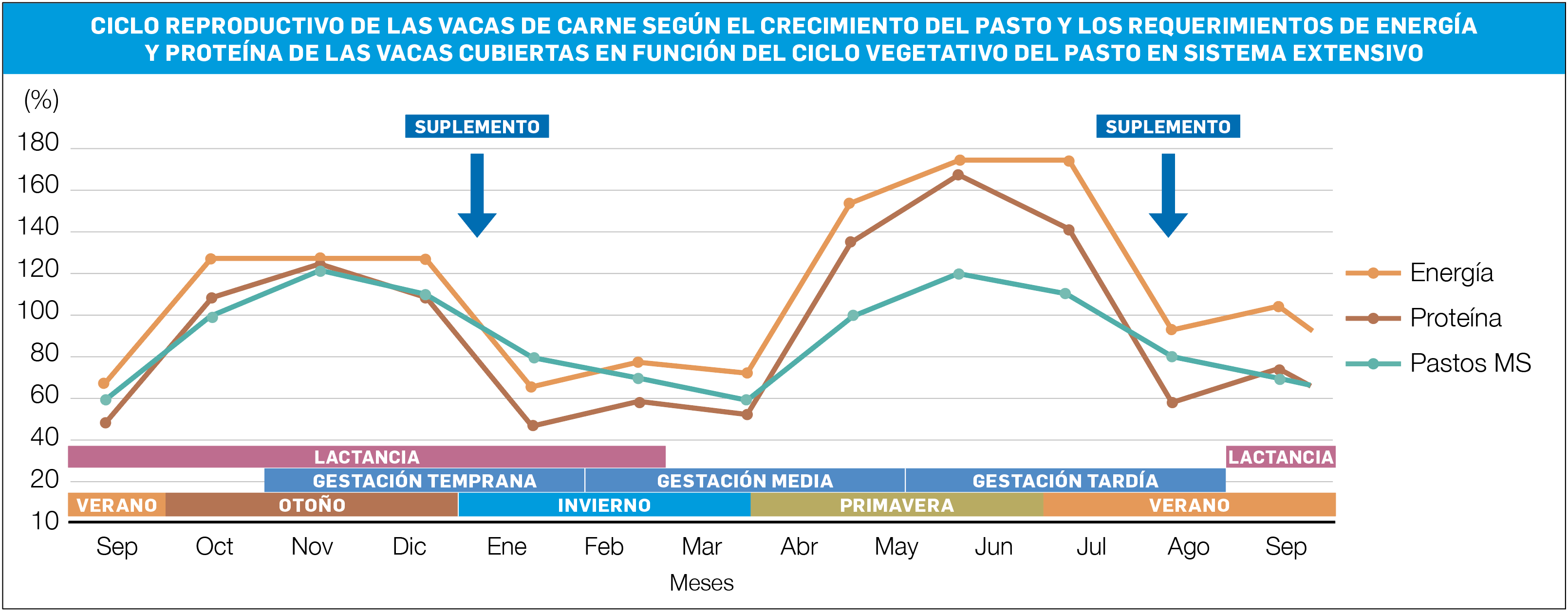 Gráfico 2 CG CICLO REPRODUCTIVO DE HEUS