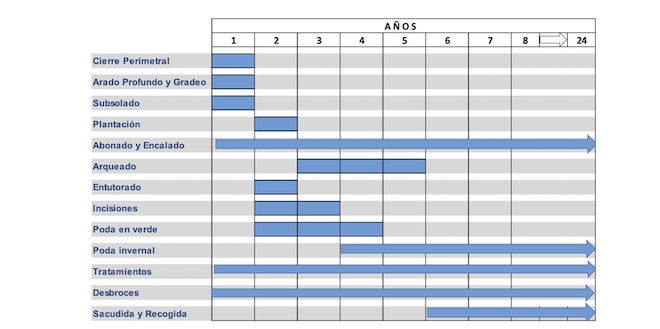 PERIODOS, PROCESOS e tarefas basicas nun pomar_ GB Asesoria