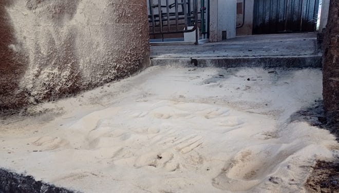 Na gandería Taboada empregan un baño podal sen biocidas.