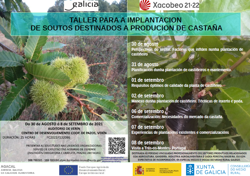 castaña verin 2