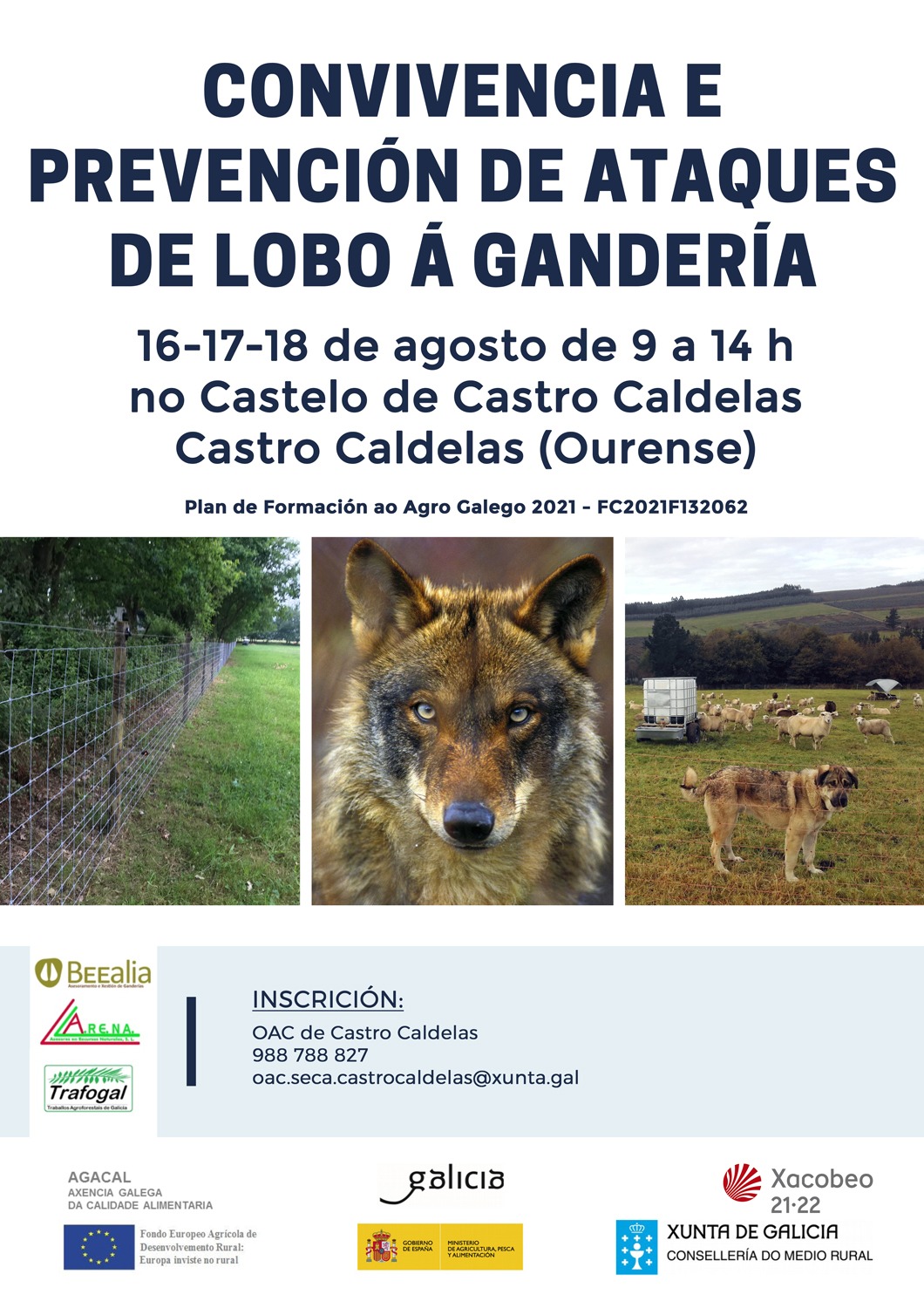 xornada lobo alibes