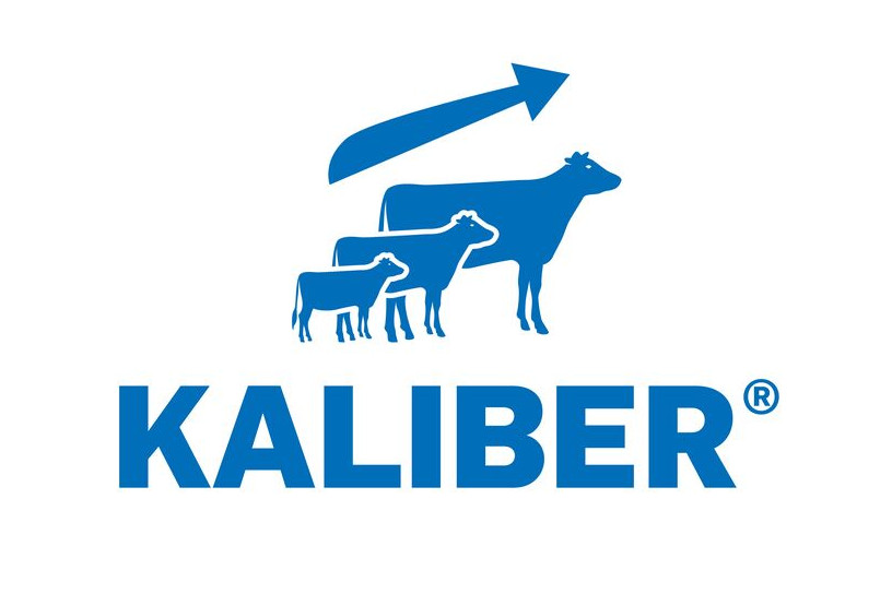 Logo Kaliber DE HEUS