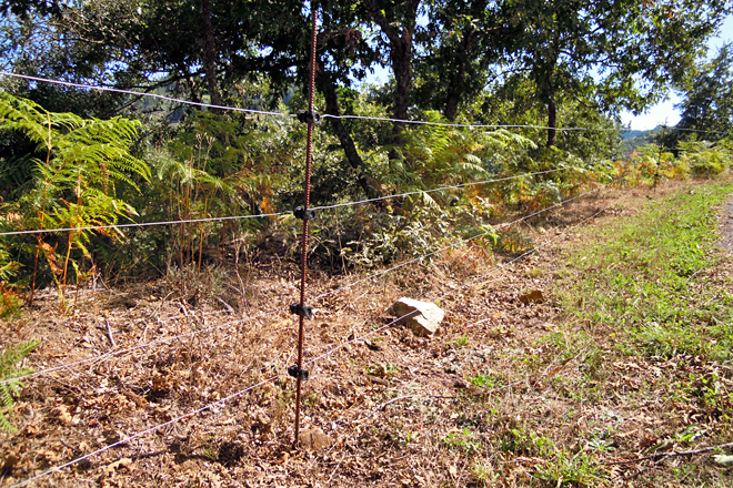 Un dos peches electrificados con 4 fíos cos que teñen pechadas 10 hectáreas de monte en Vilela