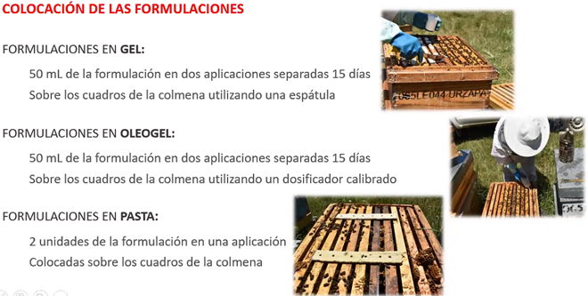 aplicacion formulaciones