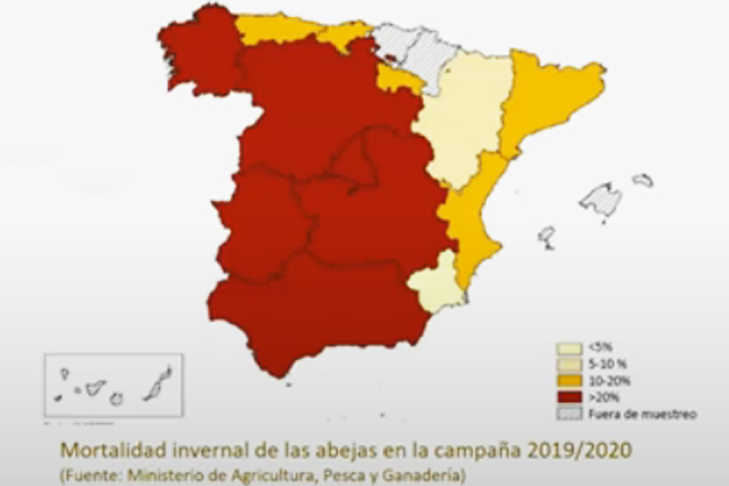 mapa incidencia varroa